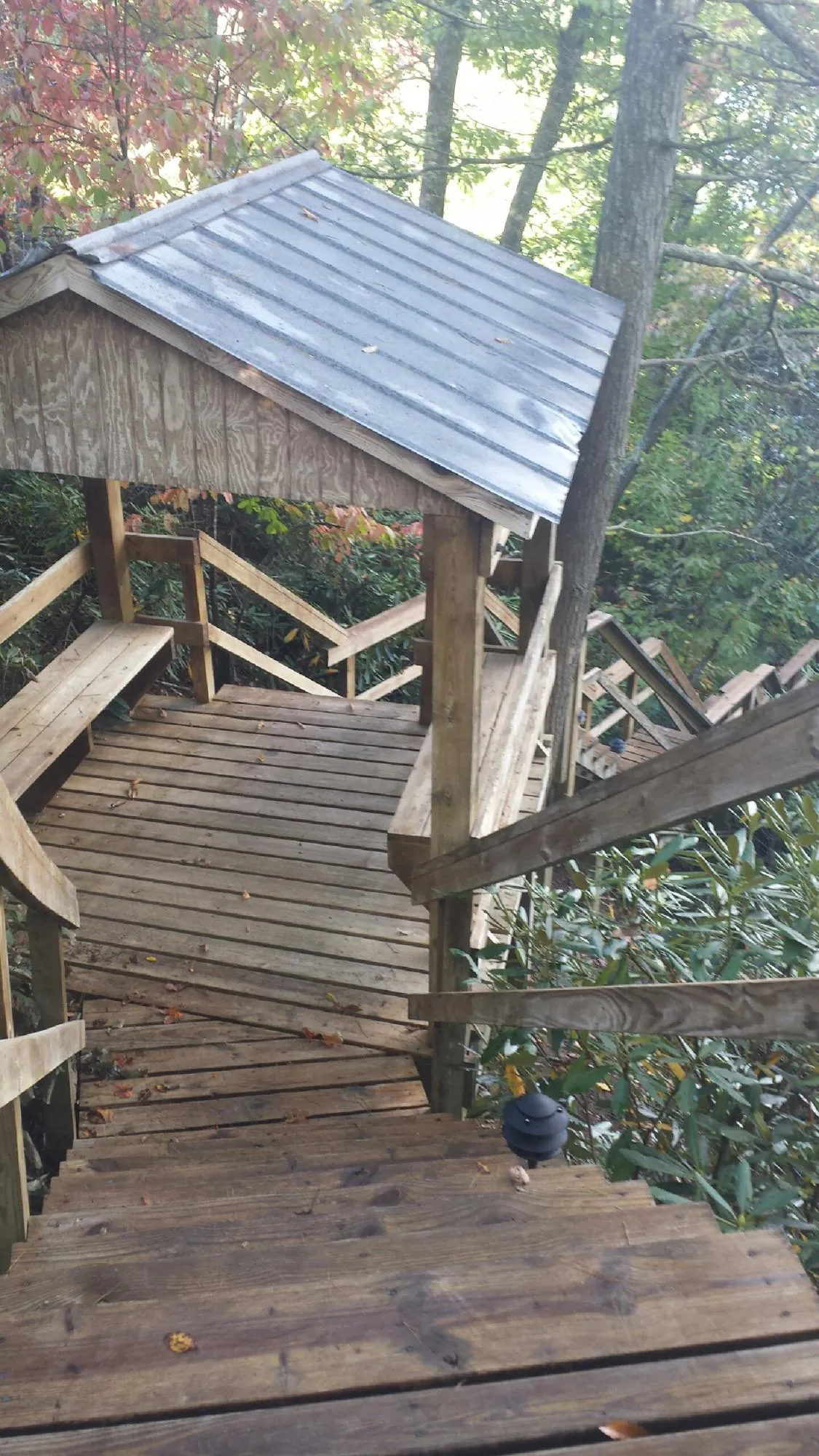 Metal roofed shelter over wooden steps on a wooded walkway — Skylight Repair & Installation work by our crew in Peculiar